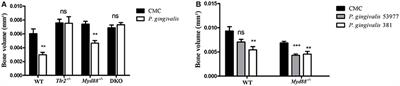 Porphyromonas gingivalis Stimulates TLR2-PI3K Signaling to Escape Immune Clearance and Induce Bone Resorption Independently of MyD88